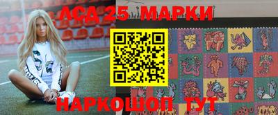 гашик Новодвинск