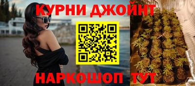 гидропоника Новозыбков