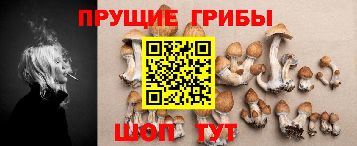 Серпухов  Псилоцибиновые грибы прущие грибы  наркотики  Вход с VPN 